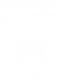 RESUMEN LA CASA JUNTO AL RIO