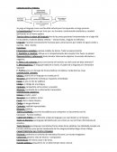 Las Teorías sobre el origen del lenguaje