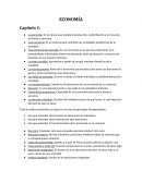 Resumen de la Economia