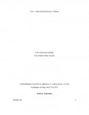 Fase 1: Etapa de Rectificación y Filtrado