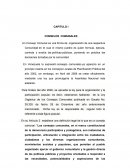 CAPITULO I CONSEJOS COMUNALES