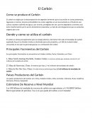 El Carbón Como se produce el Carbón