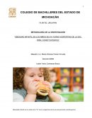 METODOLOGÍA DE LA INVESTIGACIÓN “OBESIDAD INFANTIL EN LOS NIÑOS DE 6°A TURNO VESPERTINO DE LA ESC. PRIM. CONSTITUYENTES”