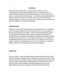 EL EMBARAZO. HIPOTESIS