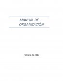 Manual de organizacion PNOS