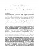 La gerencia publica y la globalizacion