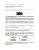 DE LA SEGREGACION A LA INTEGRACION SEGREGACIÓN, INCLUSIÓN, EXCLUSIÓN, INTEGRACIÓN y EQUIDAD