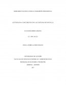 HERRAMIENTAS WEB 2.0 PARA EL DESEMPEÑO PROFESIONAL