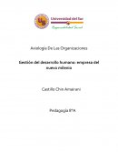 Axiología De Las Organizaciones Gestión del desarrollo humano: empresa del nuevo milenio