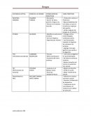 Cuadro resumen de Drogas