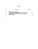 Sistema de Análisis Dupont