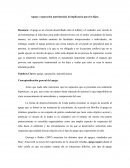 Apego y separación matrimonial; la implicancia para los hijos