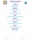 Ensayo sobre las corridas de toros