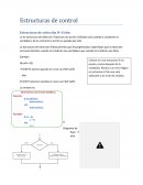 Estructuras de control Estructuras de selección If- if else