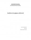 Análisis de página editorial