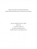 DICTAMEN DE CRIMINALISTICA “MUERTE VIOLENTA CON ARMA BLANCA”