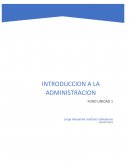 ¿Qué otras conclusiones podemos sacar sobre la clasificación de la actividad de la sociedad?