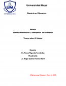 Tema de Ensayo sobre El Debate