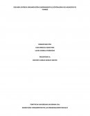 SEGUNDA ENTREGA ORGANIZACIÓN GUBERNAMENTAL (CONTRALORIA DEL MUNICIPIO DE YUMBO)