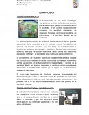 TEORÍAS DE SOCIOLOGÍA