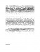 Ensayo de un Protesto fielmente