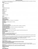 DIRECCION ESTRATEGICA ETAPAS
