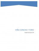 Implementación KPI Viña Concha y Toro