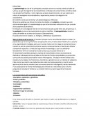 La epistemología es una de los principales conceptos a tener en cuenta cuando se habla de Ciencia