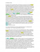 Talcott Parsons desarrolla de la sociedad