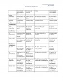 Mercadotecnia. tarea investigacion de mercados