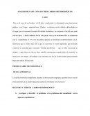 ANALISIS DE CASO CON LOS TRES CARROS METODOLÓGICOS