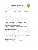 La obesidad (encuesta)