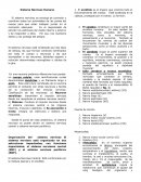 CLASIFICACIÓN Y ORGANIZACIÓN DE LOS SERES VIVOS