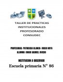 TP instituciones Consudec 2016