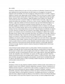 Manualidad observaciones borrador