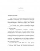 CAPÍTULO I EL PROBLEMA Planteamiento del Problema