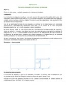 Práctica N° 3 Recuento plaquetario con cámara de Neubauer