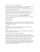 Fábrica de acero reciclado “EL TLACUACHE DE ACERO”