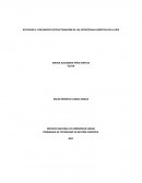 ESTRUCTURACIÓN DE LAS ESTRATEGIAS LOGÍSTICAS DE LA RED