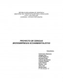 PROYECTO DE CIENCIAS MICROEMPRESAS ECOAMBIENTALISTAS