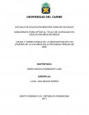 CAUSA Y CONSECUENCIA DE LA DROGADICION EN LOS JÓVENES DE 14 A 20 AÑOS EN LA PROVINCIA PERAVIA