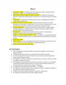 RALLY ACTIVIDADES