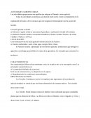 Actividades agropecuarias. Principales cultivos