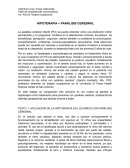 QUE ES LA HIPOTERAPIA O PARÁLISIS CEREBRAL