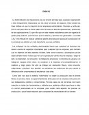 Ensayo La Administración de Operaciones