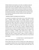 EL ASESINATO MASIVO” DE ÁRBOLES EN TEPOZTLÁN