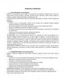 Alimentos y sus Vitaminas y Minerales