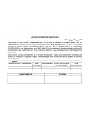 Acta de recorrido de verificación