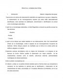 Dominio bacteria / Esterilización por calor húmedo / Autoclave.