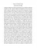 Ensayo psicologia familiar